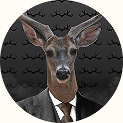 stag cropped